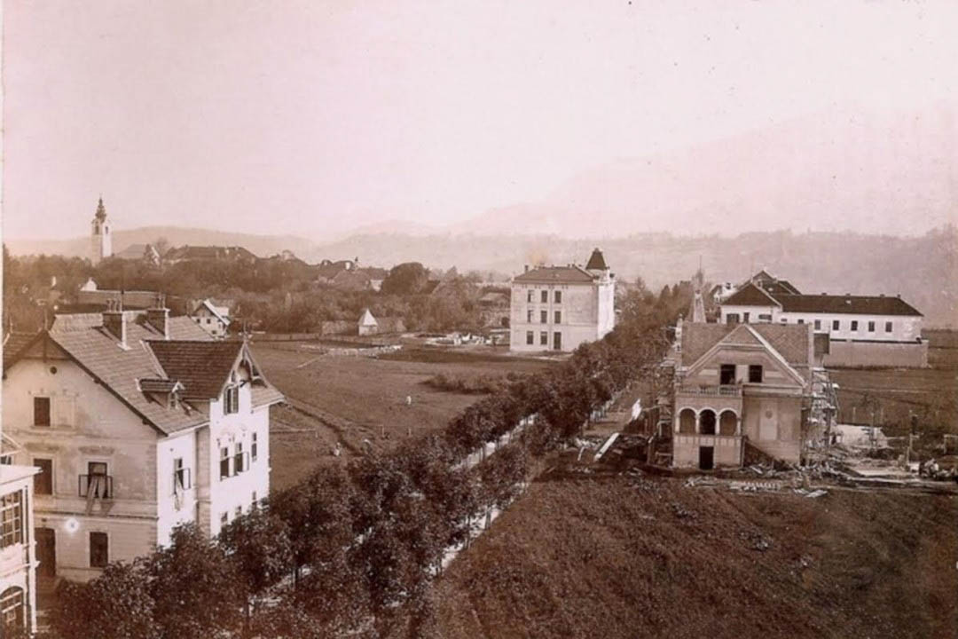 Radovljica s Festovo vilo, 1905 (DAR)